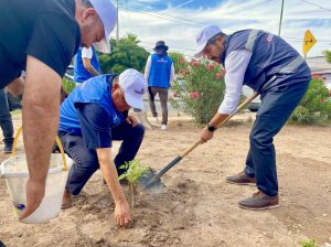Inicia PAN reforestación de parques en Ciudad Juárez